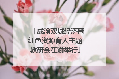 成渝双城经济圈红色资源育人主题教研会在渝举行