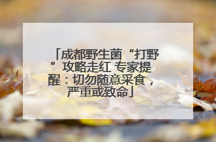 成都野生菌“打野”攻略走红 专家提醒：切勿随意采食，严重或致命