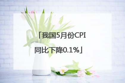 我国5月份CPI同比下降0.1%