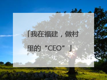 我在福建，做村里的“CEO”