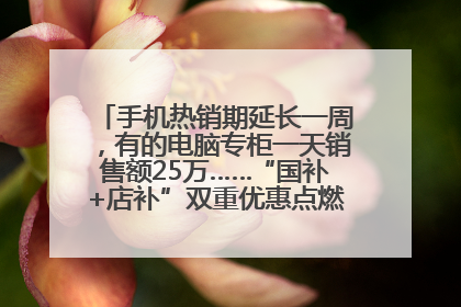 手机热销期延长一周，有的电脑专柜一天销售额25万……“国补+店补”双重优惠点燃德州“考后经济”