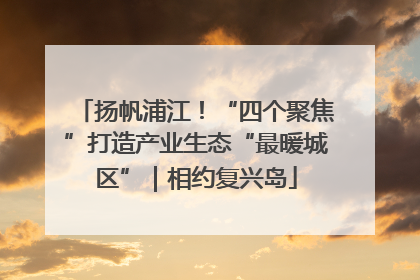 扬帆浦江！“四个聚焦”打造产业生态“最暖城区”｜相约复兴岛