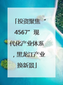 投资聚焦“4567”现代化产业体系，黑龙江产业换新景
