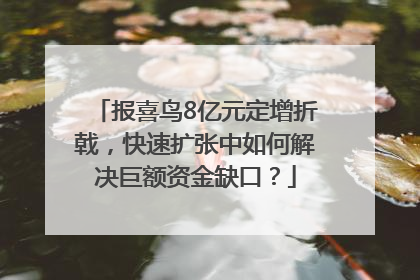 报喜鸟8亿元定增折戟，快速扩张中如何解决巨额资金缺口？