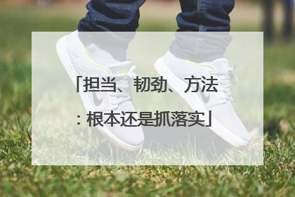 担当、韧劲、方法：根本还是抓落实