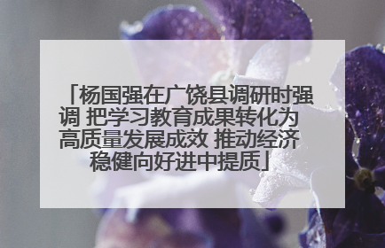 杨国强在广饶县调研时强调 把学习教育成果转化为高质量发展成效 推动经济稳健向好进中提质