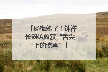 杨梅熟了！钟祥长滩镇收获“舌尖上的惊喜”