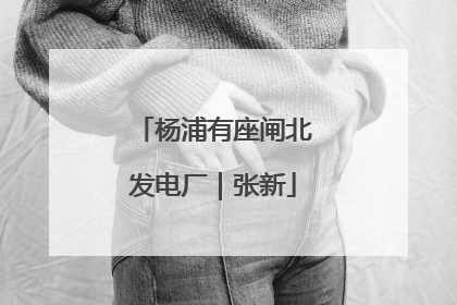 杨浦有座闸北发电厂｜张新