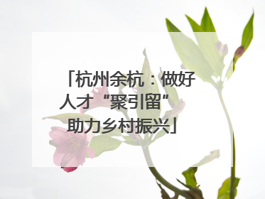 杭州余杭：做好人才“聚引留” 助力乡村振兴