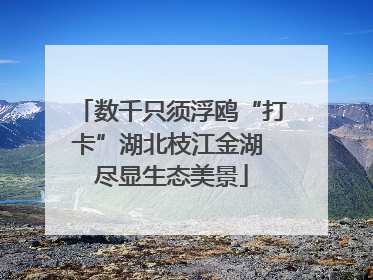 数千只须浮鸥“打卡”湖北枝江金湖 尽显生态美景