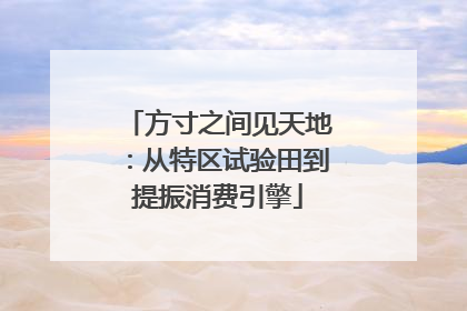 方寸之间见天地：从特区试验田到提振消费引擎