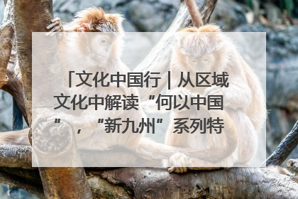 文化中国行｜从区域文化中解读“何以中国”，“新九州”系列特展抵达“随州”站