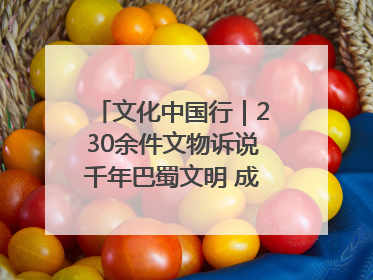 文化中国行｜230余件文物诉说千年巴蜀文明 成渝地区基建考古成果展开展