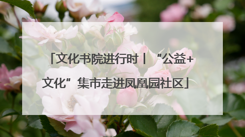 文化书院进行时丨“公益+文化”集市走进凤凰园社区