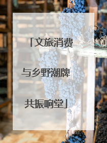 文旅消费与乡野潮牌共振响堂