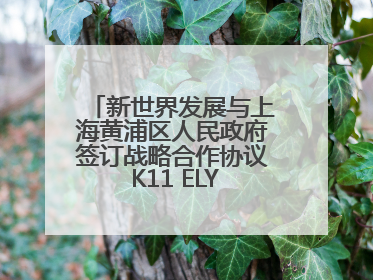 新世界发展与上海黄浦区人民政府签订战略合作协议 K11 ELYSEA璀璨启幕