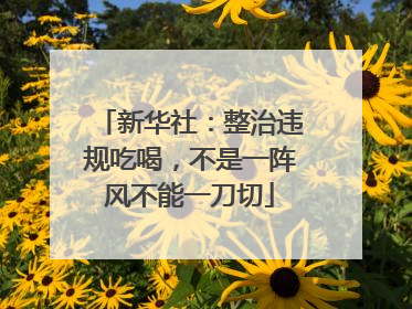 新华社：整治违规吃喝，不是一阵风不能一刀切
