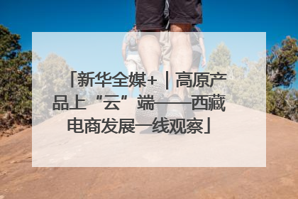 新华全媒+｜高原产品上“云”端——西藏电商发展一线观察