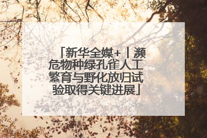 新华全媒+丨濒危物种绿孔雀人工繁育与野化放归试验取得关键进展