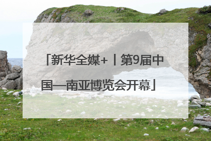 新华全媒+丨第9届中国—南亚博览会开幕