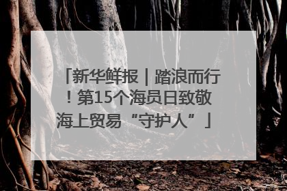 新华鲜报｜踏浪而行！第15个海员日致敬海上贸易“守护人”