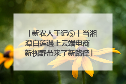 新农人手记⑤丨当湘潭白莲遇上云端电商 新视野带来了新路径