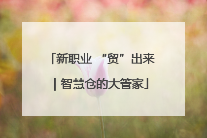 新职业 “贸”出来｜智慧仓的大管家