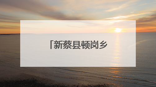 新蔡县顿岗乡卫生院开展“浓情端午节 情暖患者心”活动