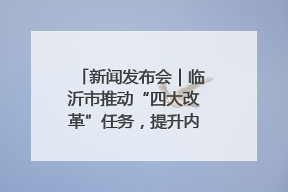 新闻发布会｜临沂市推动“四大改革”任务，提升内部审计监督效能