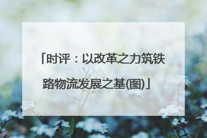 时评：以改革之力筑铁路物流发展之基(图)