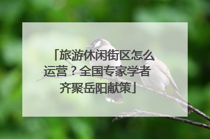 旅游休闲街区怎么运营？全国专家学者齐聚岳阳献策