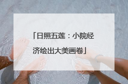 日照五莲：小院经济绘出大美画卷