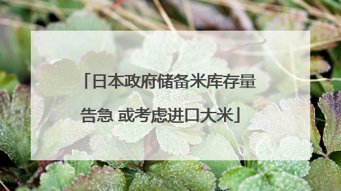 日本政府储备米库存量告急 或考虑进口大米