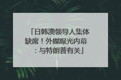 日韩澳领导人集体缺席！外媒曝光内幕：与特朗普有关