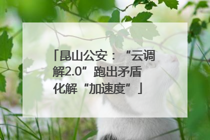 昆山公安：“云调解2.0”跑出矛盾化解“加速度”