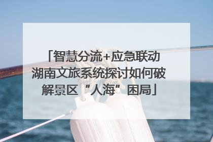 智慧分流+应急联动 湖南文旅系统探讨如何破解景区“人海”困局