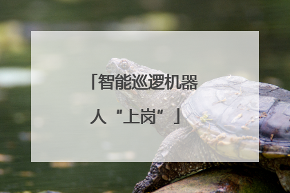 智能巡逻机器人“上岗”