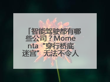 智能驾驶都有哪些公司？Momenta“穿行桥底迷宫”无法不令人印象深刻！