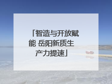 智造与开放赋能 岳阳新质生产力提速