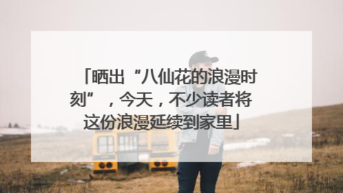 晒出“八仙花的浪漫时刻”，今天，不少读者将这份浪漫延续到家里
