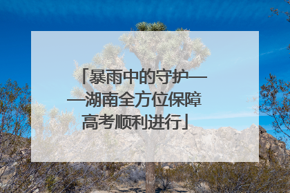 暴雨中的守护——湖南全方位保障高考顺利进行
