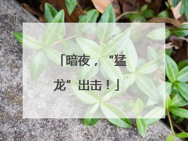 暗夜，“猛龙”出击！