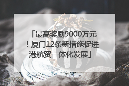 最高奖励9000万元！厦门12条新措施促进港航贸一体化发展