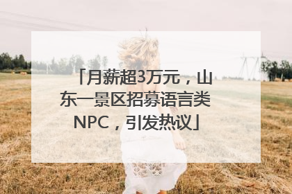 月薪超3万元，山东一景区招募语言类NPC，引发热议