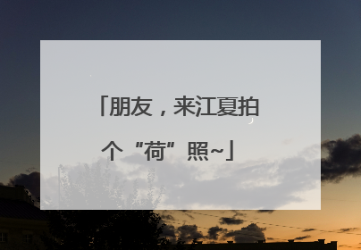 朋友，来江夏拍个“荷”照~