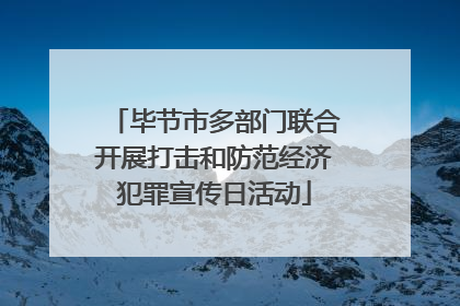 毕节市多部门联合开展打击和防范经济犯罪宣传日活动
