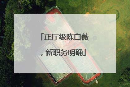 正厅级陈白薇，新职务明确