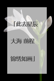 此去星辰大海 前程锦绣如画