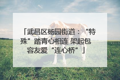 武昌区杨园街道：“特殊”踏青心相连 架起包容友爱“连心桥”