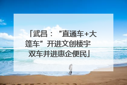 武昌：“直通车+大篷车”开进文创楼宇 双车并进惠企便民